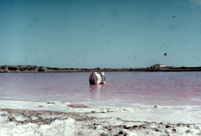 pan4